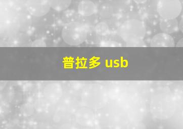 普拉多 usb